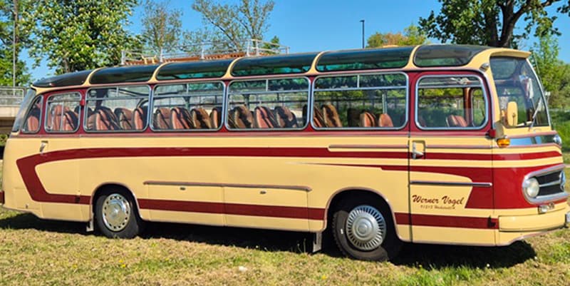Bus